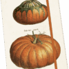 Rissbók