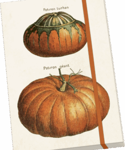 Rissbók