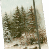 Rissbók