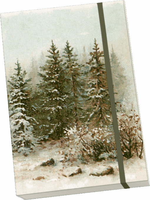 Rissbók
