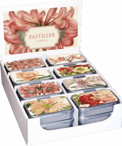 pastilladósir mintu