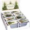 pastilladósir skógur  salt karmella